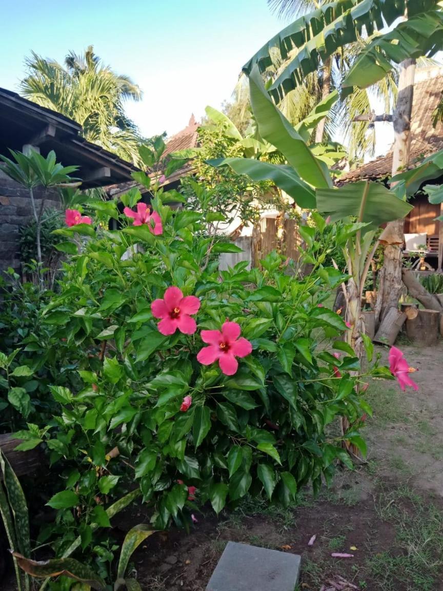Blu D'Amare Hotel Gili Trawangan Buitenkant foto
